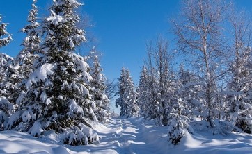 Zmiana godzin otwarcia Centrum w dniach 16 - 27 lutego